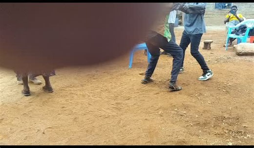 Rumba Dance Moves: A Beginner's Guide