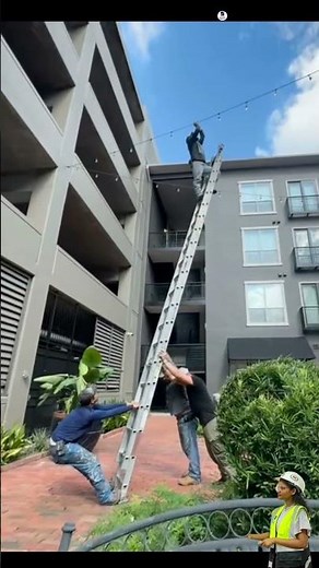 OSHA Approved? 🤔😂 Is This the Safe Way to Use a Ladder?