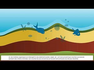 formation des gisements petrolier et gazier