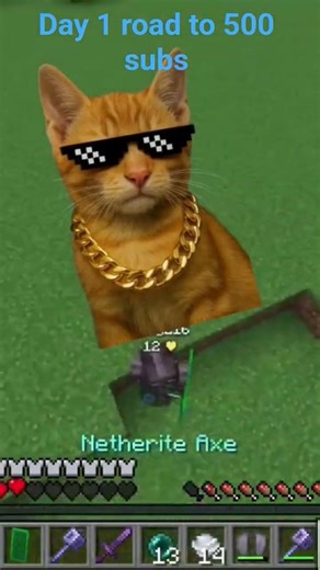 day 1 road to 500 #java #minecraft #pvp #fyp