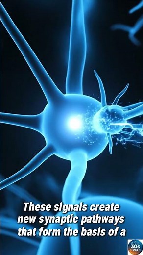 How Does Memory Actually Work? 🧠 #Shorts