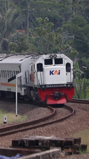 4.6K views · 131 reactions | Curved Railway -Local Train 91 #keretaapi #railwayphotography #train #railway | Java Railfanning | Facebook