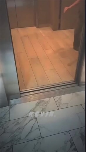 Hilarious Align Motion Edits You Can't Miss