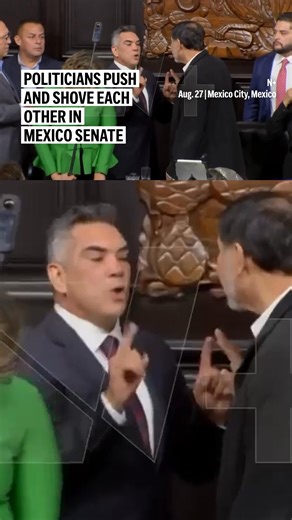 Tempers flared in Mexico's Senate Wednesday when PRI leader Alejandro ‘Alito’ Moreno Cárdenas and Senate President Gerardo Fernández Noroña of the Morena party shoved each other during a disagreement. The clash began after Moreno said he wasn’t given the floor. | AP