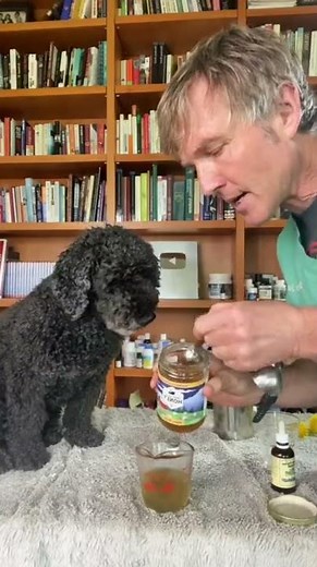 Awesome Dog Asthma Remedy!