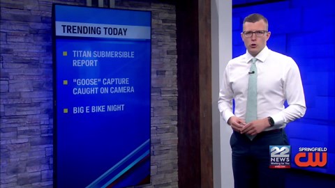 Goose the water monitor caught by environmental police in Douglas