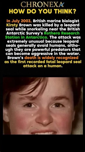 The Leopard Seal Attack That Changed Antarctic History #shorts #history