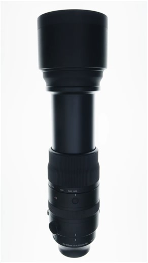 Explore more with the Sigma 150-600mm F5-6.3 DG DN OS | Sports lens #photography #sigma