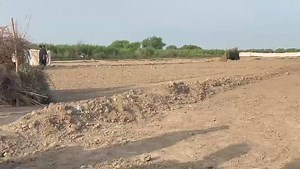 Soor ka shikar, best hunting dogs, boar hunting for life, shikar #boarhuntinglreels #viralreels #fbreels #viralreelsfb #doorofday #soorKaShikar #viralpage #shikar #pighunting #wildlife | Naz Hanting Club Khadhar