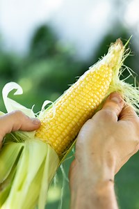 328K views · 17K reactions | Is there anything better than sweet corn...