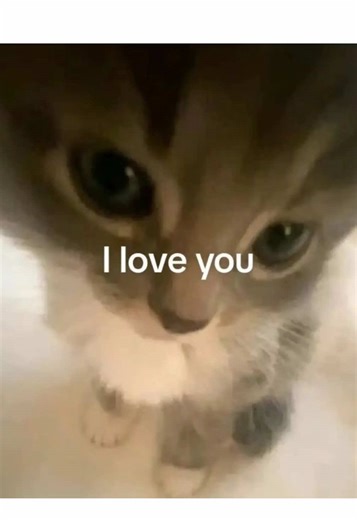 🫐 (@zara.svg)’s videos with orijinal ses - alls