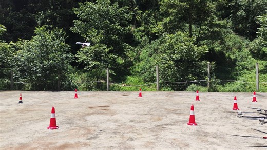 长安鸭 mikado logo200测试