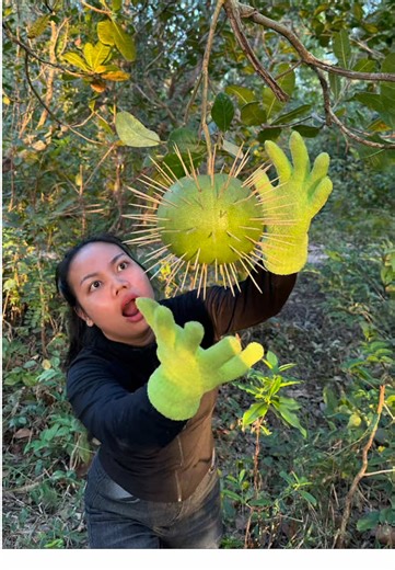 Survival Skills: SMART ideas and USEFUL In Forest With Single mom Houtdoors #survival #camping