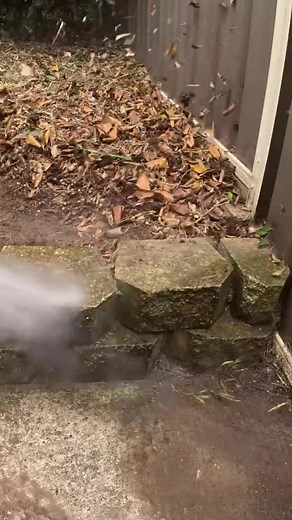 We gave this family a TOTAL YARD MAKEOVER! | Blade Mate Lawn Care