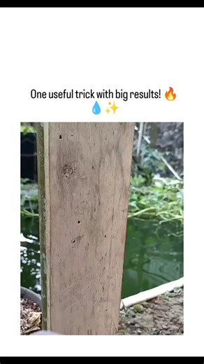 GLOBAL REEL HUB on Instagram: "#The post features a short video tutorial demonstrating a DIY waterproof electrical outlet made from a clear plastic storage bin drilled and sealed with silicone, mounted on a wooden post for outdoor use in rainy conditions. Credited to creator "iboycrafts," the hack shows wiring installation and testing with a plugged-in extension cord under water, emphasizing safety and cost-effectiveness for tropical climates. Indonesian replies express appreciation for the prac