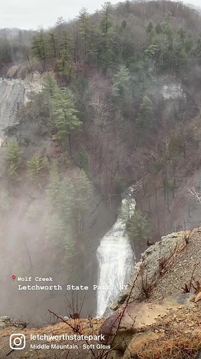 🐺 Wolf Creek is named for the wolves that once dug dens in the soft ravine slopes of this creek. The last time a wolf was seen in the region was over 150 years ago. | Letchworth State Park