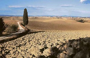 Crete Senesi - Alchetron, The Free Social Encyclopedia