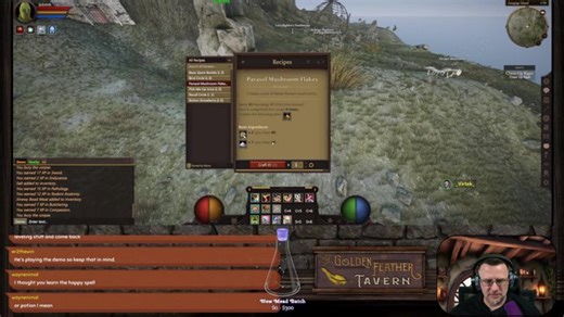 Project Gorgon First Impression! | Mead Quest