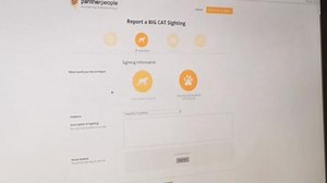 Big cat mystery: The truth is out there