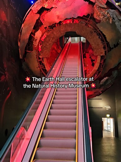 What if we held hands on the Natural History Museum escalator? 👉👈 #NaturalHistoryMuseum #VisitLondon #LondonMuseums