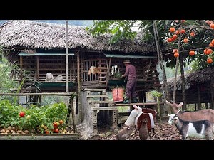 Life on an Island Homestead | Livestock Farming & Farm-to-Table Cookin