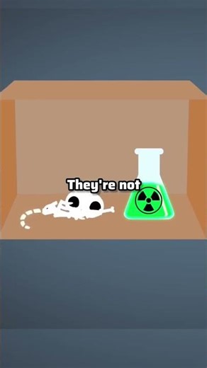 Einstein was Against Quantum Mechanics