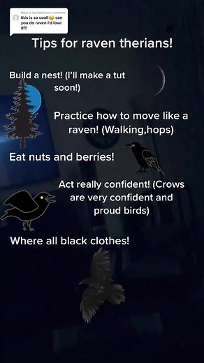 Raven Therian Tips and Advice