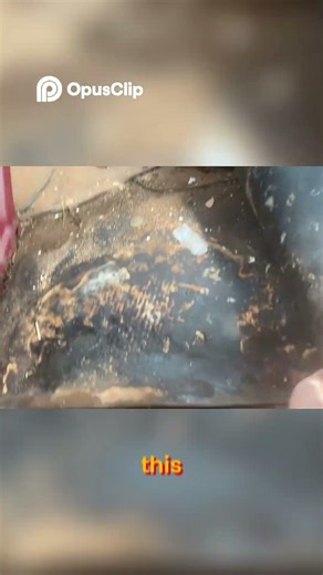 X-Van Gutting | Part 5/X: JOIN THE EMPIRE! OMG! You Won't Believe What Happened Next!