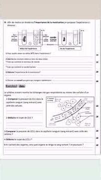 Examen local SVT 3ÈME ANNÉE COLLÈGE