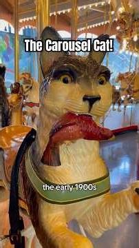 The Carousel Cat! #carousel #history #merrygoround #cats