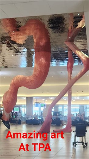 Amazing 3D immersive art at Tampa international airport. #tpa #Phoebe #flamingo #art #wonders