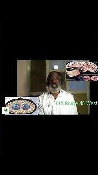 The Role of Aryl Hydrocarbon Receptors (AhRs) in Brain and Gut Communication
