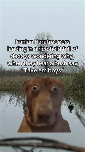 #meme #fyp #duckhunting | meme