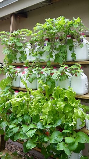 Easy Vertical Garden #diy #gardening #towergarden | Keep on Growin'