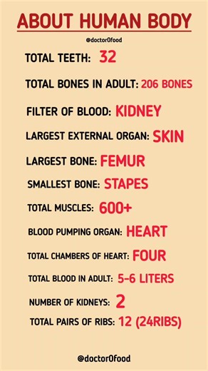 About Human Body | Amazing Facts About Human Body | Basic Anatomy Explained #healthylifestyle