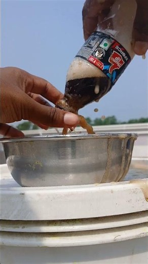 What Happens If You Add Soap In Cold Drink Experiment? 😱🔥
