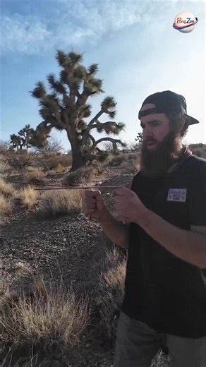 pong zee (@pong.zee)’s videos with suara asli - pong zee