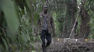 26K views · 331 reactions |  Connu pour son cacao, ses mangues ou son hévéa, la Côte d’Ivoire peut accrocher une nouvelle culture à son tableau des matières premières qu’elle produit : le poivre. | VOA Afrique | Facebook