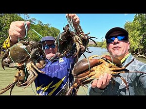 How to Legally Hide Crab Pots & Catch Big Mud Crabs | Crab Fishing Tips