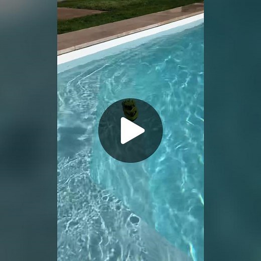 Je test un bateau télécommandé de chez Action 😜 #test #essai #tuto #speedboat #jouet #magasinaction #pourtoi #foryou