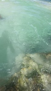 567K views · 13K reactions | Sabías que en la playa se formó un cenote después que pasó la tormenta a compañame a ver esta hermosa travesía maya | El ultimo maya8 | Facebook