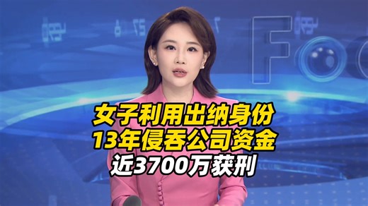 女子利用出纳身份13年侵吞公司资金近3700万，用来养猫、收藏玉石等，法院：判刑11年3个月并处罚金30万