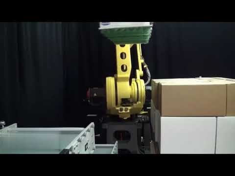 Robotic palletizing and depalletizing