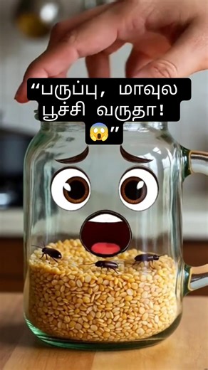 பருப்பு, மாவுல பூச்சி வராம இருக்க 4 easy tricks! 😱