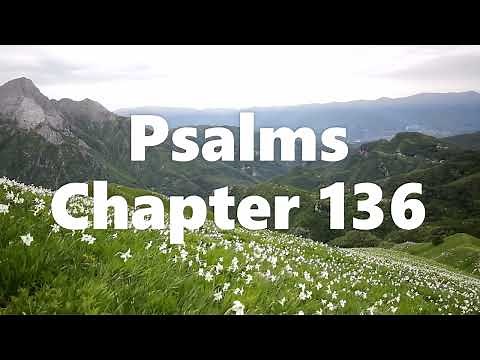 The Book of Psalms Chapter 136 - New King James Version (NKJV) - Audio Bible