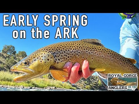 Early Spring Fly Fishing on the Arkansas River