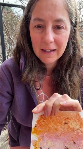 100 days of nature art - Dried hydrangea inspired watercolor exploration #the100dayproject #art