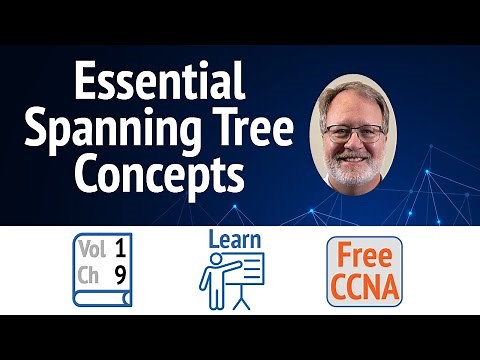 How STP Works: The Essential Guide to Preventing Loops in Any Network