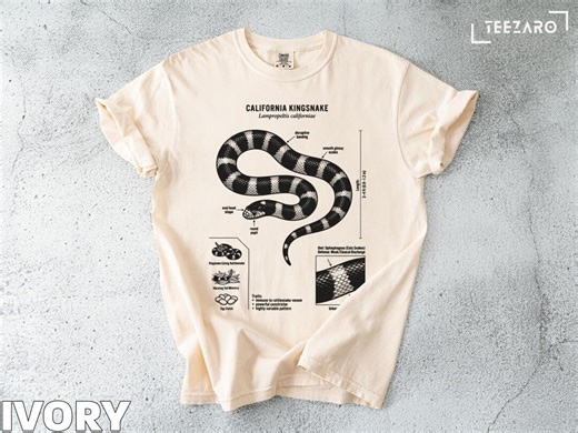 California Kingsnake T-shirt: Banded Pattern, Detailed Illustration, Reptile Lover - Etsy
