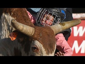 Watch Now: Mini Bull Riding